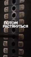 Ничего удивительного, простая классика. Нет секретных упражнений, только труд и дисциплина.Мой т.mp4
