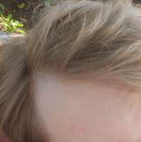 IMG20250829164503.jpg