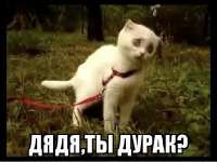 IMG4822.jpeg