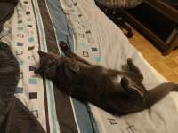 IMG20250830232232.jpg