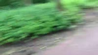 хотим и пьём.webm