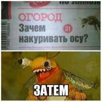 15086042243920.jpg
