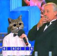 34b68f1bf859360dfcfc3bf703c5ae4f.jpeg