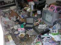 videogamerswholiveinapigsty03024018.jpg