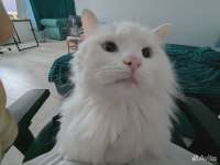 55467CFC-9084-477C-A59F-0605231D7880.webp