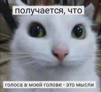 IMG0059.jpeg