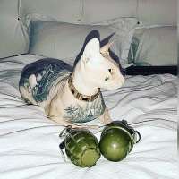 IMG0048.jpeg