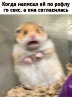 78.jpeg