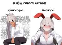 смысл-жизни.jpeg