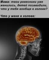 977.jpeg