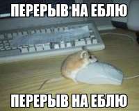 71bc6a93-f16e-482f-a6a2-1b0e83fcef4a1756186095136.jpg