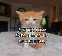 IMG20250902132445469.jpg