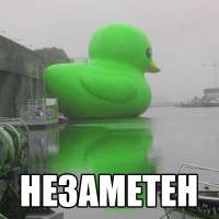 1387377975012.jpg