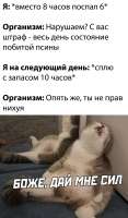 1606900186312.jpg