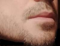 IMG15.jpg