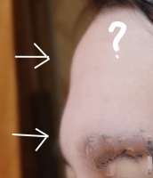 1607177778667.jpeg