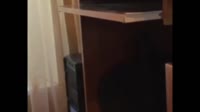 videoplayback (1).mp4