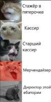 1607282630349.jpg