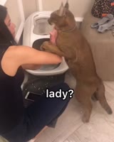 24244.mp4
