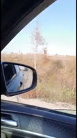 16052266102680.mp4