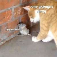 16045911089340.jpg