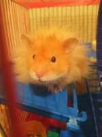 IMG20201206010955.jpg