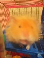 IMG20201206011005.jpg