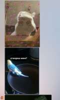 1474861432612.png