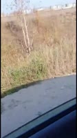 16052266102680.mp4