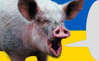 ukroswine.jpg