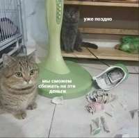 16074227093310.jpg