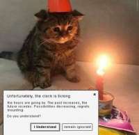 4BE52615-D46C-4AE1-A2D8-9DCDC2942F01.jpeg
