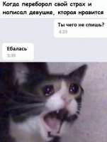 BEDA635E-4768-43CB-A78A-5156B6BBAB59.jpeg