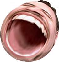 16072002372020.png