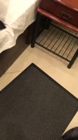16000617757920.mp4
