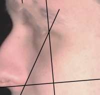 1608497811947.jpeg