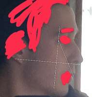 1608545656807.jpeg