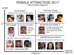 attraction.png