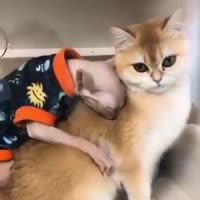 16089735812980.mp4