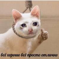 16105952568620.jpg