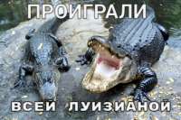загруженное.jfif