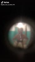 16105431044530.mp4