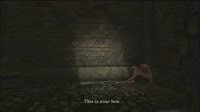 darksoulsyourfate.webm
