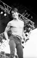 IggyPop-pinkpop87.jpg
