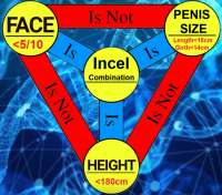 What Is An Incel.png