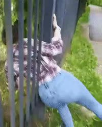 гифки-ты-знаешь-что-нужно-сделать-застряла-5363398.webm