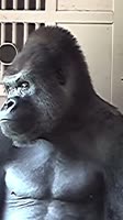 video2022-08-0110-34-07.mp4