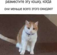 16703008381110.png