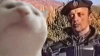 Cat Vibing to Remove Kebab or Serbia Strong.mp4