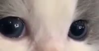 16514302011330.mp4
